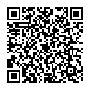 底下数百名穿着民族盛装的桐族村民一起在黑夜的火把下振臂高呼二维码生成