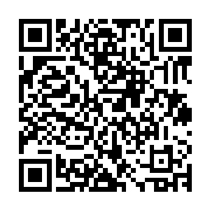 店主正把第六具没有皮肉依附着的整套骸骨摆放在其他骸骨旁边二维码生成