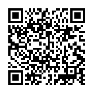 府在凤瑾元的耳边将之前发生的事儿简单扼要地说了一遍二维码生成