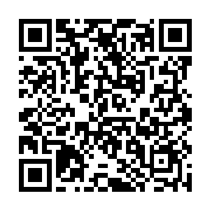 庞伟兵开着警车带着小姑娘这么闯红灯和飙车的时候二维码生成