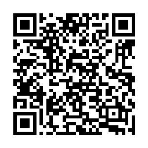 庞克与安迪两名黑人终于意识到了要严肃战斗的事实二维码生成