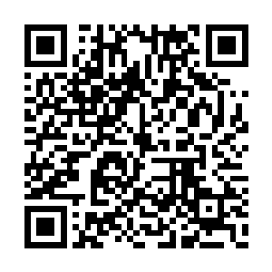 庞大的厉鬼灵压便逼得吴岩向后退出了十数丈远二维码生成