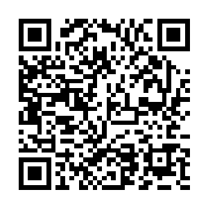 庞大的杀气在他身后形成了一个若隐若现的巨大影像二维码生成