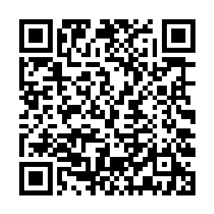 庞大的舰队在数量已经上超过了玛伽共和国联军舰队二维码生成