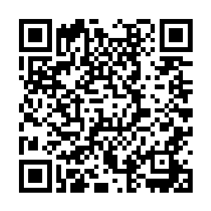 庞大的龙骨身上惊涛骇浪忽然化作一片氤氲的霞光二维码生成