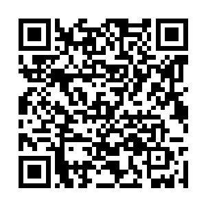 庞德睁眼正见一连数条小黑蟒张嘴吐舌地扑咬过来二维码生成