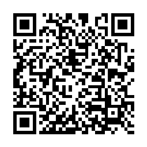 庞珊珊是故意想让自己看起来跟自己年龄比较贴近二维码生成