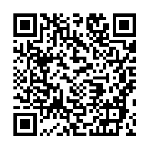 庞辉雨猛地踹了一下正专心坐着资料的老者所用得桌子上二维码生成