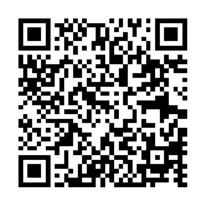 度人琴本就在接近神兵级力量的对撞之下本能感觉到了危机二维码生成