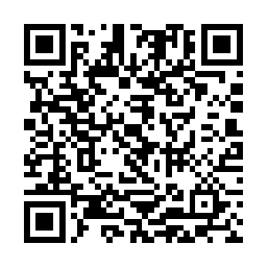 座谈会第一个议程是侯卫东介绍南部新区的发展情况二维码生成