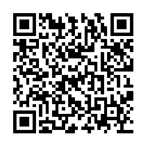 康有为与杨锐也纷纷在强国时报与奉天时报上属文二维码生成