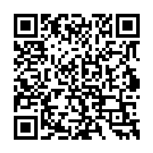 康王府的几名家丁跟着呼呼喝喝的君武过去寻找二维码生成