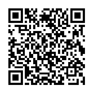 康颐与凤瑾元的几番交流她也是看在眼里喜上心头的二维码生成