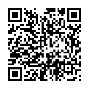 康颐在容貌气度上给人的舒服感一下子就扑面而来二维码生成