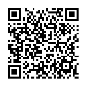 庾重真的目光从那残破战旗上又落回了那群残兵的身上二维码生成