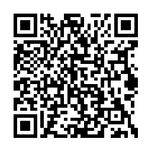 廖猛的大脑皮层上附着着一些闪闪发亮的微晶片二维码生成