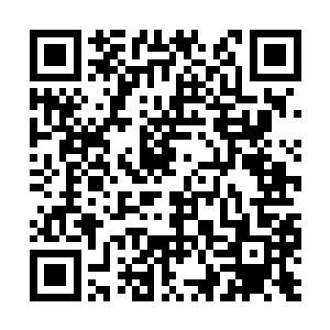 廖言还真是想要深入了了解一下这名建立棋局的人二维码生成