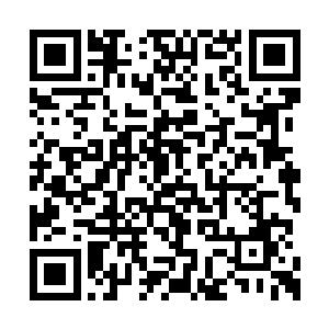 廖辽先是负责颁发了年度最佳新人男歌手的奖项二维码生成