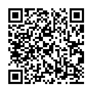 廖辽居然奇迹般地在亚洲区的货架上发现了自己的二维码生成