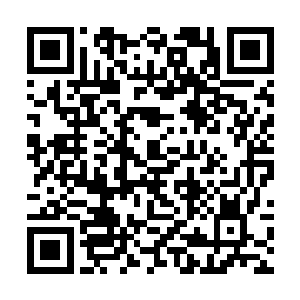 延森四人就和两名十五星级的长老一同离开了蛟神殿二维码生成