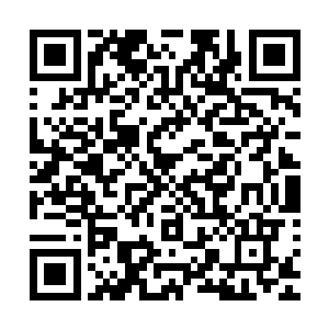 延森四名神殿使者带着两名相貌普通的老人也抵达了达尔部落二维码生成