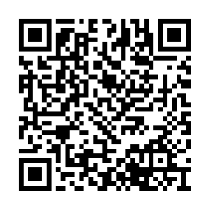 建出来立刻就能体会到什么叫法网恢恢疏而不漏二维码生成