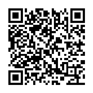 建国后咱们用的都是老毛子的教育方式来教育人材二维码生成