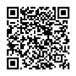 建国集团也获得了他原本计划之中的那些利益上的回报二维码生成