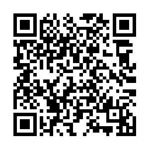 建城人对水的依赖已经在短短几天之内达到了一个巅峰二维码生成