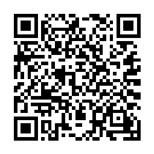 建木和龙鳞的事情要等他跟元辰夕醒了之后才好问他们二维码生成