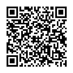 建木神君一个人在里面如果面对上几大宗门的苍穹骑士二维码生成