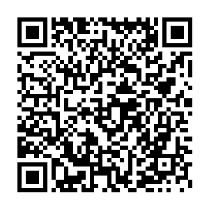 建筑师们是在马哈代夫全面考察了各种可能建造青年城海岛的选址的二维码生成