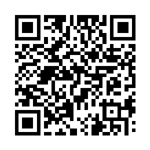 建议任命省公安厅副厅长陈观同志担任省二维码生成