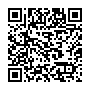 建议利用发展银行对益杨县授信的十亿资金中的五亿二维码生成