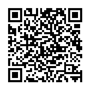 建议省环保厅要对我们昌西州的工业项目进行重点跟进监督二维码生成