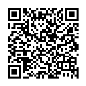 开不了口告状的墨小宝只得眨巴着大眼睛委屈的望着娘亲二维码生成