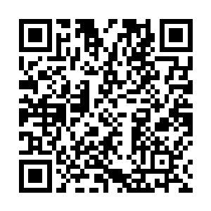 开叉的舌头让它感受到了屋子里的两个人似乎有点不对二维码生成