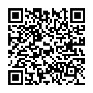 开天境毕竟是个慢慢积累和经营体内小乾坤的过程二维码生成