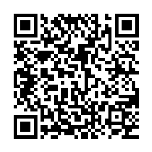 开天时代的三种不同神兽吞下混沌之气诞生出四种神级本源之火二维码生成
