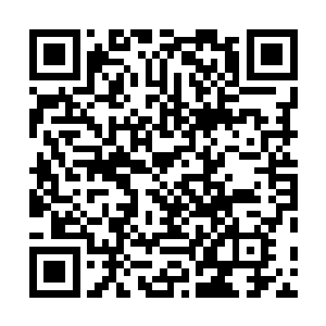 开始了好莱坞每部电影中反派总爱上演的话唠和语言调戏二维码生成