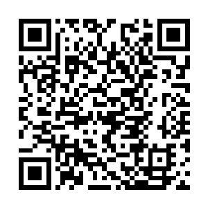 开始向大会报告企业改制的方案以及职工安置方案二维码生成