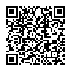 开始吞噬那元素潮汐和万钧巨浪中蕴含的元素力量二维码生成