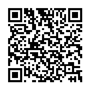 开始听到会出现七个比那海洋兽主还强大的怪物二维码生成