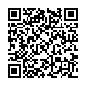 开始因为流墨墨的淡漠态度还有过不切实际的幻想二维码生成