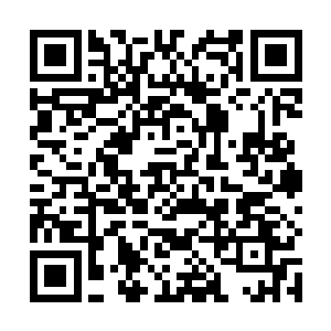 开始大家还觉得可能是到有些眉目的时候才向地区汇报二维码生成