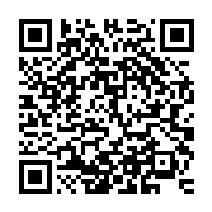开始学习马格隆那种沿着海滩和热带丛林交界线前进的省力办法二维码生成