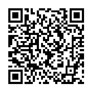 开始寻思着怎地把王府的花园移植到自己的家中来二维码生成