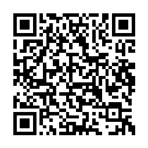 开始寻找那本笔记当中记录的埋葬孔小萌的地点二维码生成