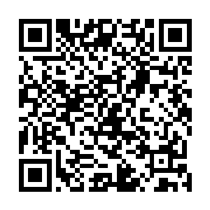 开始就成为穆斯林兄弟会等伊斯兰极端组织的忠实追随者二维码生成