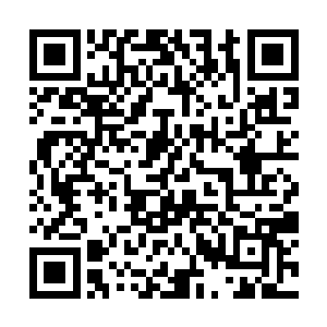 开始尽情的吸收金银铜铁铝五种金属条中的特殊元素二维码生成